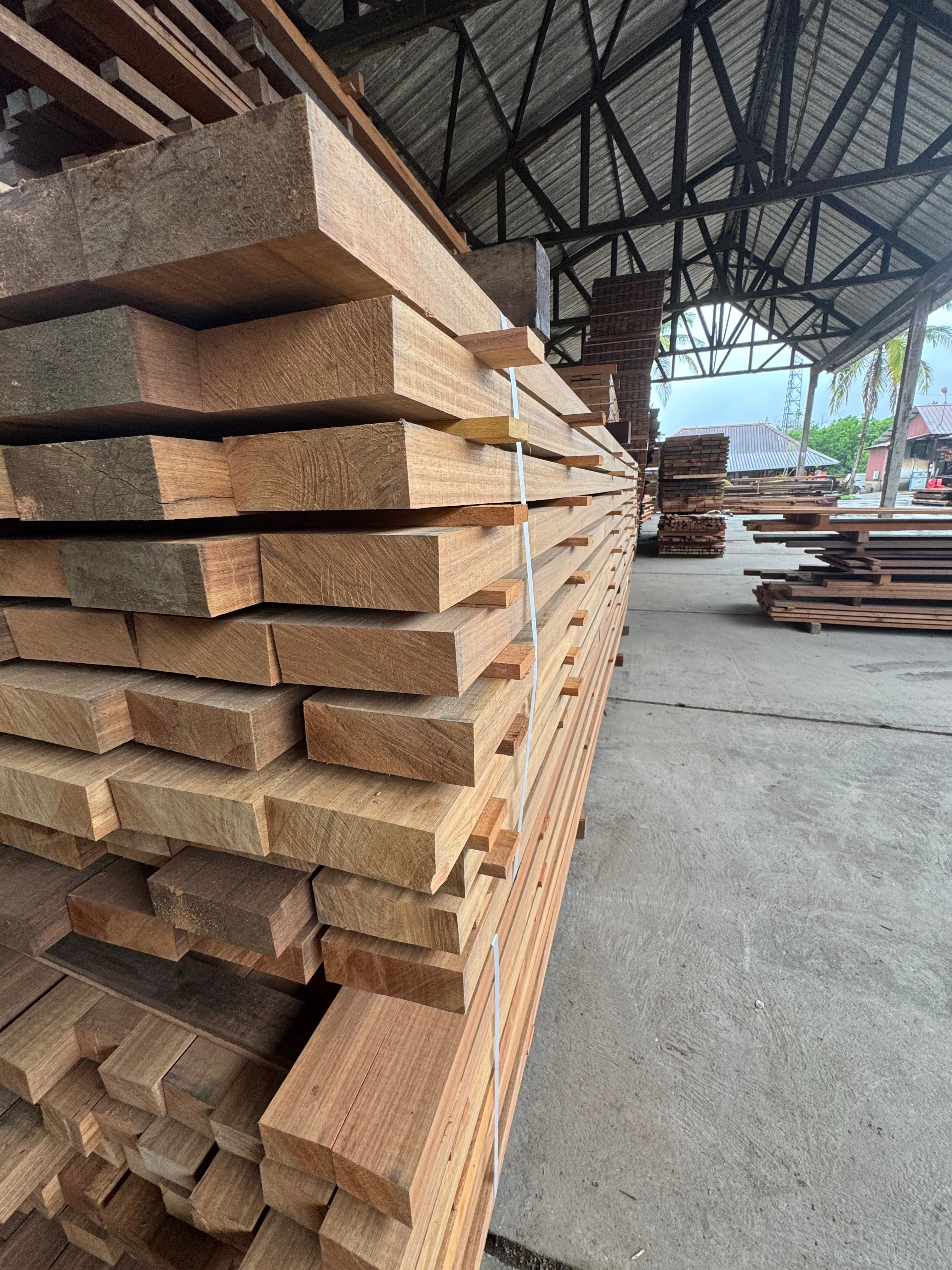 Sciage de bois — Scierie Degrad Saramaca